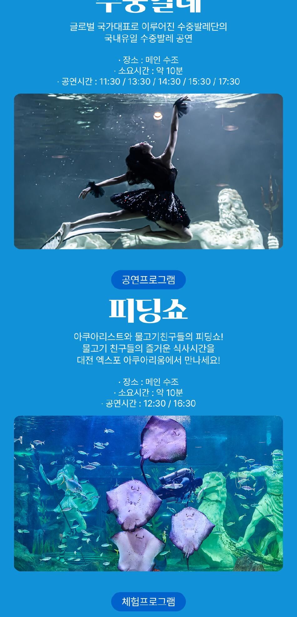 [대전] 엑스포 아쿠아리움 입장권(3/4~) 상세 이미지 18