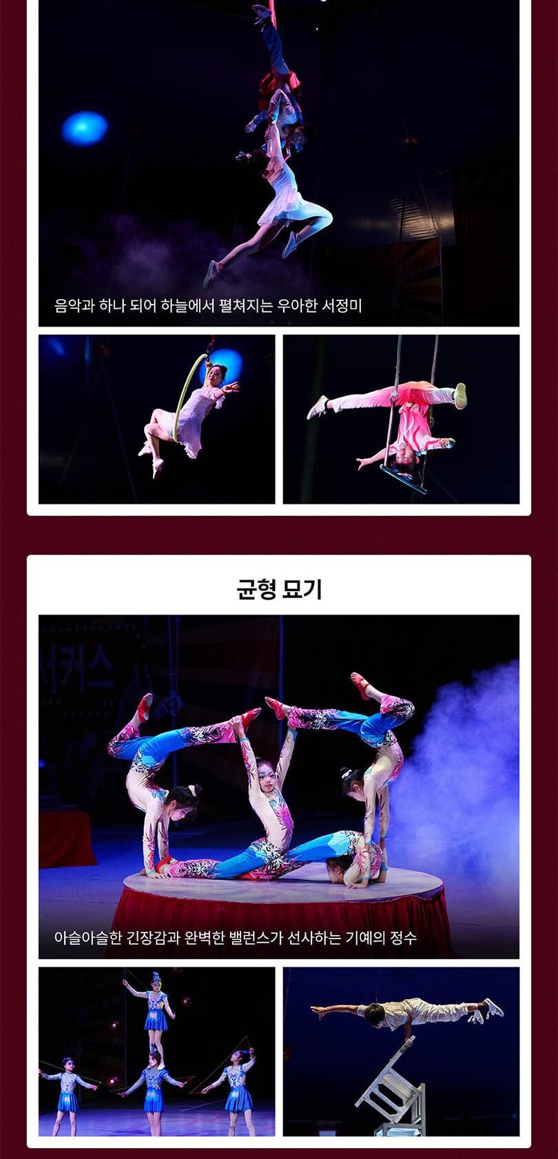  아이도 어른도 빠져드는 단양 미라클 서커스 상세 이미지 7