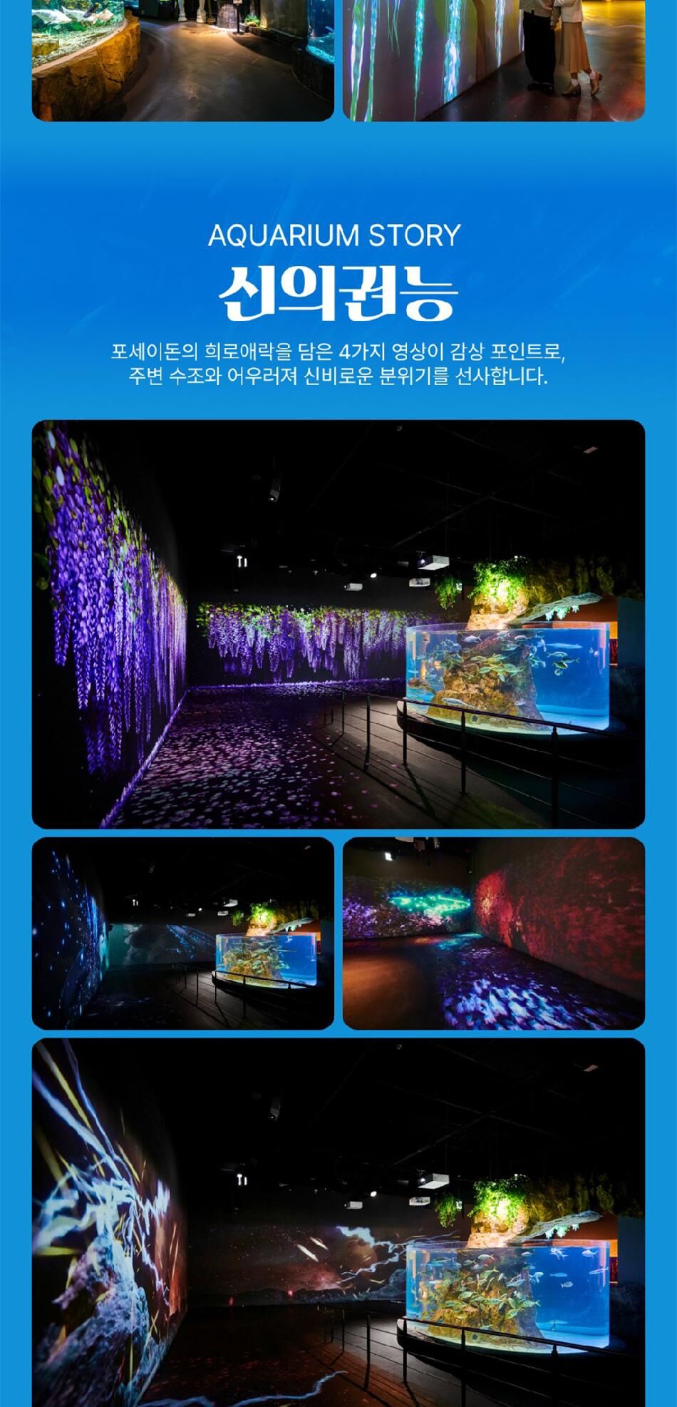 [대전] 엑스포 아쿠아리움+아쿠아랜드PKG(3/4~) 상세 이미지 12