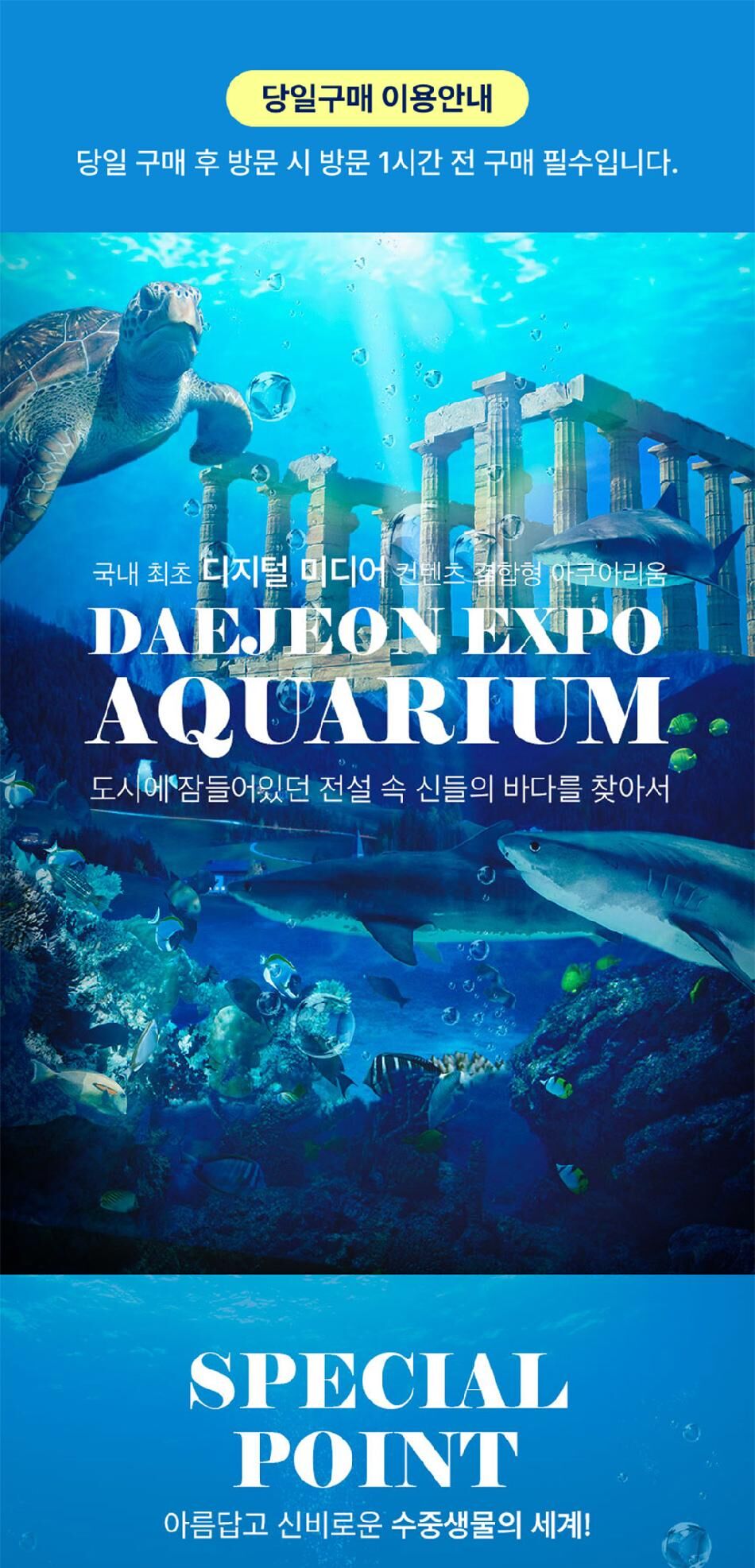 [대전] 엑스포 아쿠아리움+아쿠아랜드PKG(3/4~) 상세 이미지 8