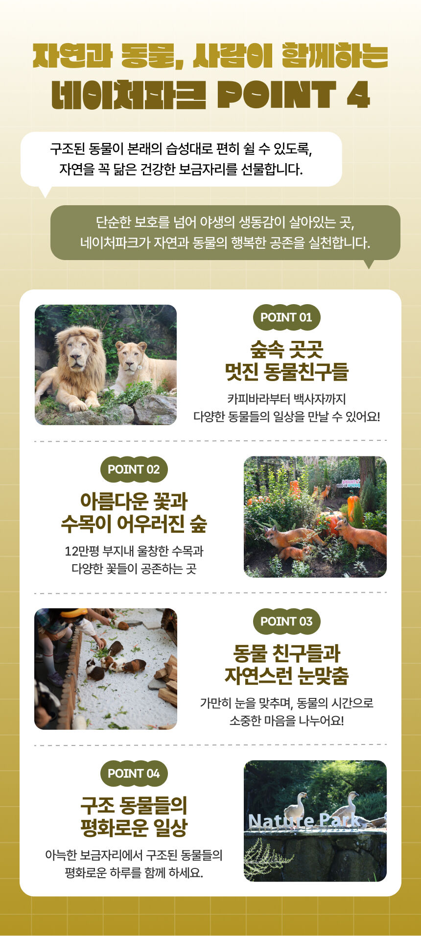 [대구] 네이처파크 이용권(9/19~) 상세 이미지 6
