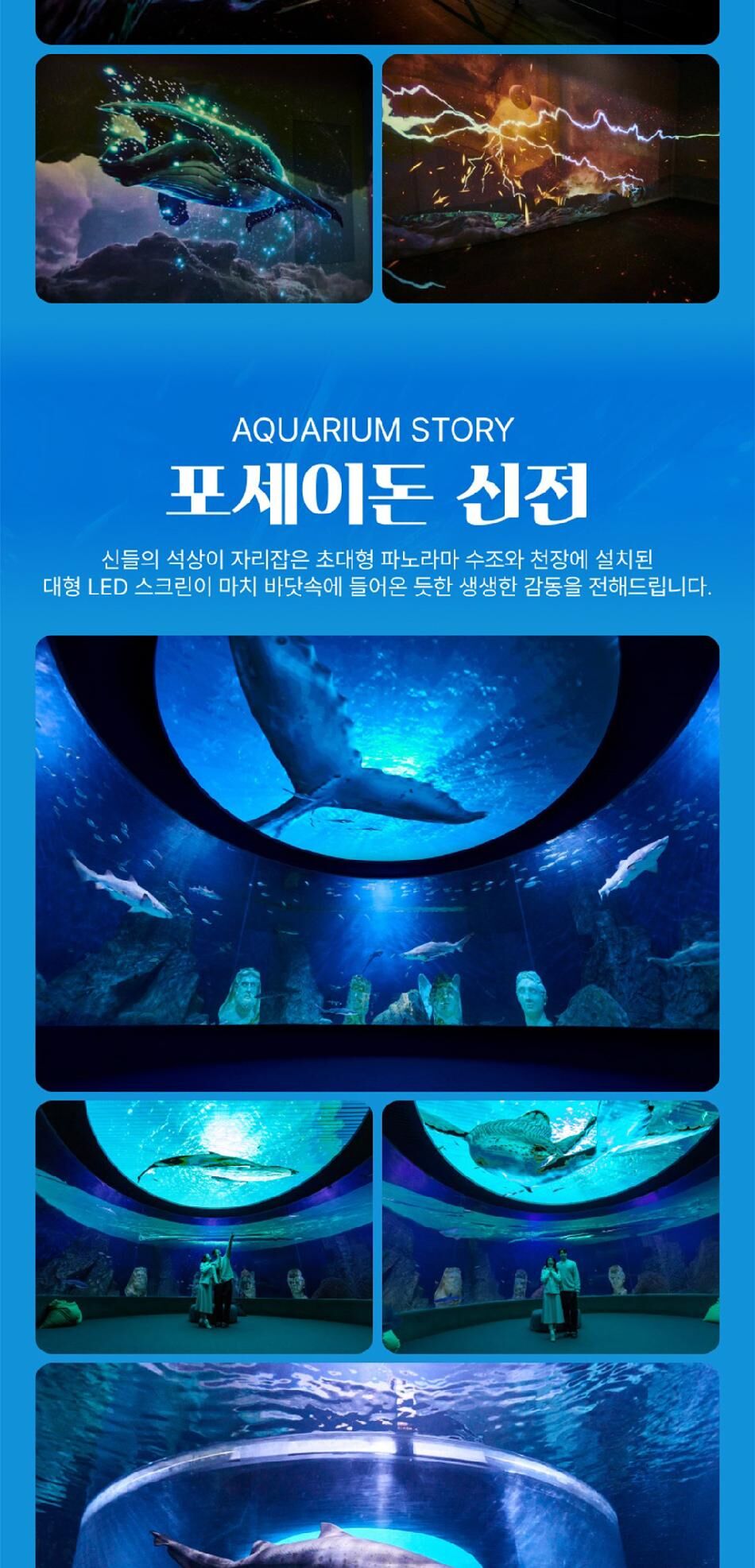 [대전] 엑스포 아쿠아리움+아쿠아랜드PKG(3/4~) 상세 이미지 13