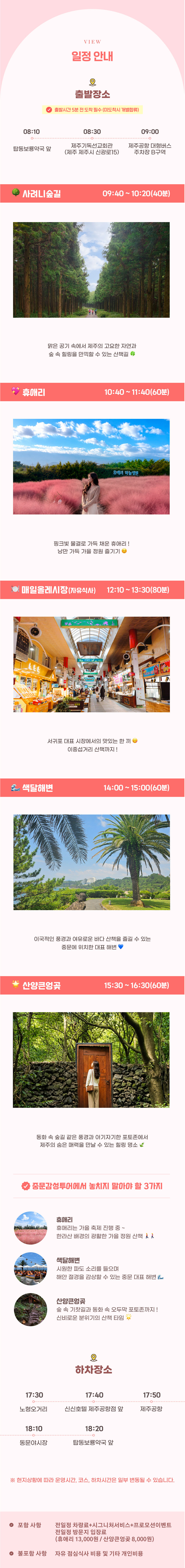 ★가을맞이 특가★ 제주 남쪽 1일 감성 버스투어 상세 이미지 3