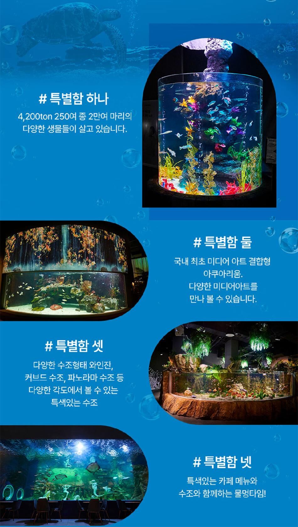 [대전] 엑스포 아쿠아리움 입장권(3/4~) 상세 이미지 8