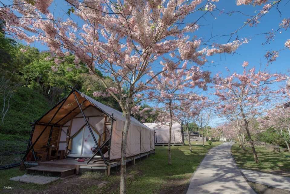 [가오슝] 위안산 온천 캠핑장 캠핑카 · 사파리 텐트 · 셀프 피치