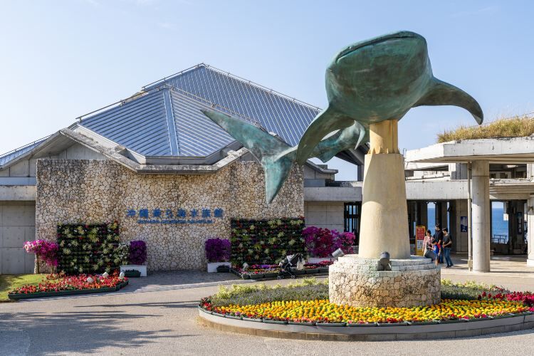 츄라우미 수족관 전자 티켓