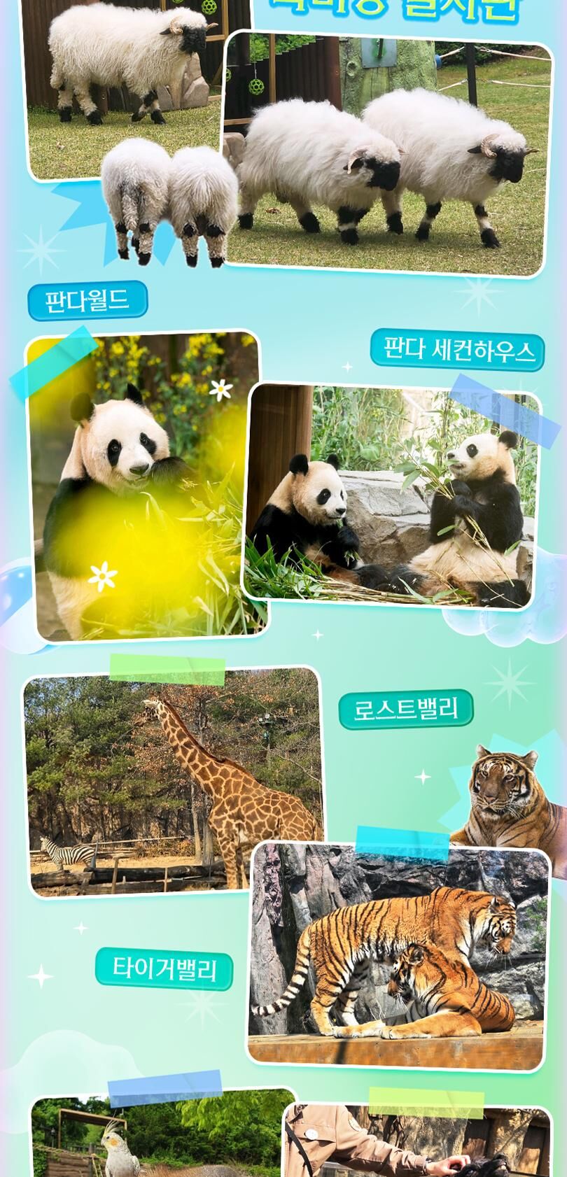 [용인] 에버랜드 종일이용권 (26/10/6~26/10/31) 상세 이미지 13