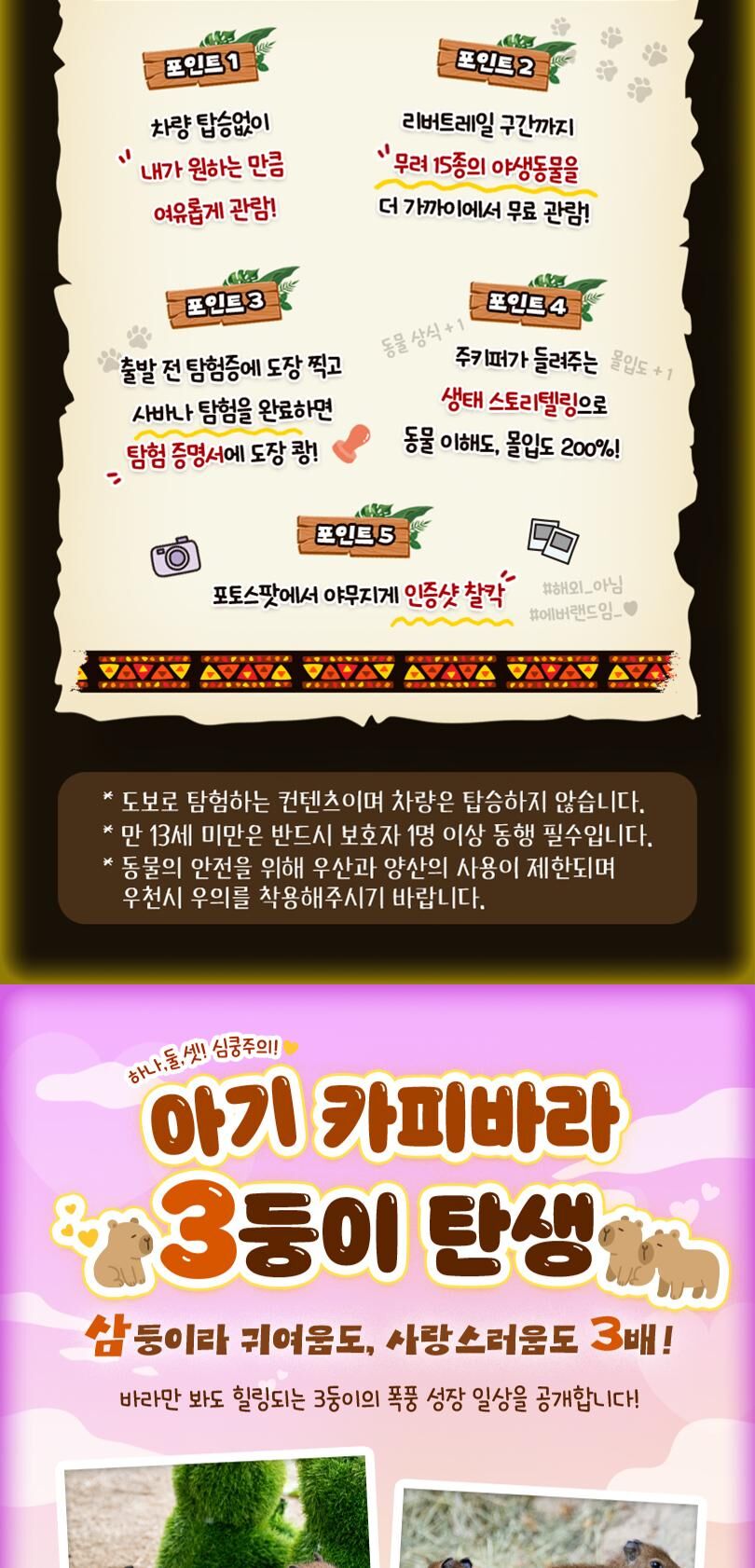 ★특가★ 에버랜드 오후이용권 상세 이미지 5