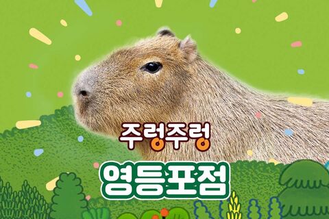 서울 티켓·입장권 - [서울]주렁주렁 실내 동물원 영등포점