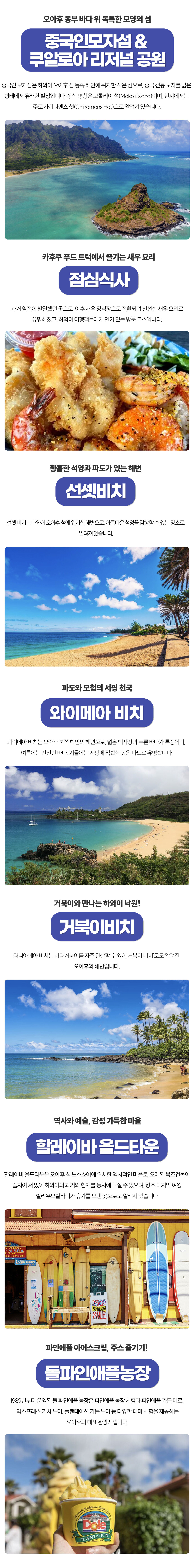 [9시간 맞춤형 단독투어] 베테랑 가이드와 함께하는 오아후 섬 시그니처 투어 상세 이미지 3
