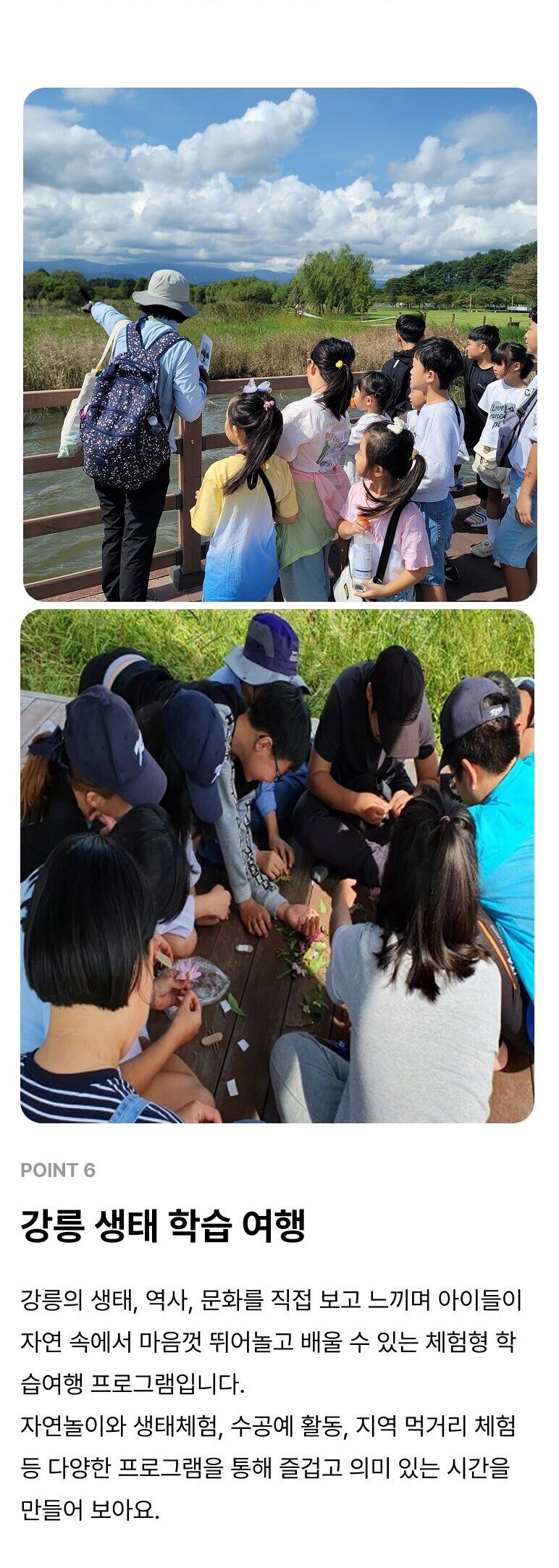 [가족참여][만원의 행복] 강릉 오죽헌 어사화학교 당일투어 상세 이미지 3