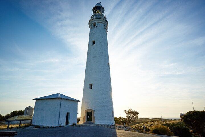 롯네스트 아일랜드 (Rottnest Island) - 힐라리스 (Hillarys) 출발의 섬 투어