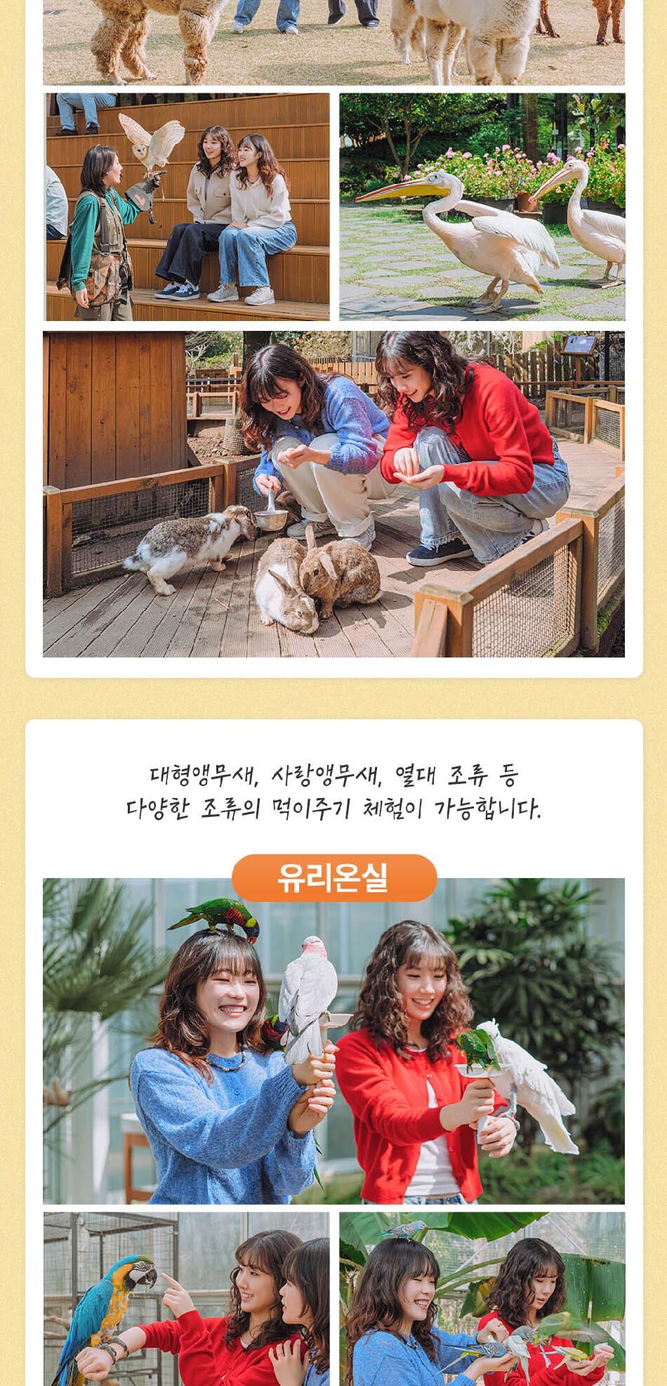 화조원+스누피가든 pkg  상세 이미지 4