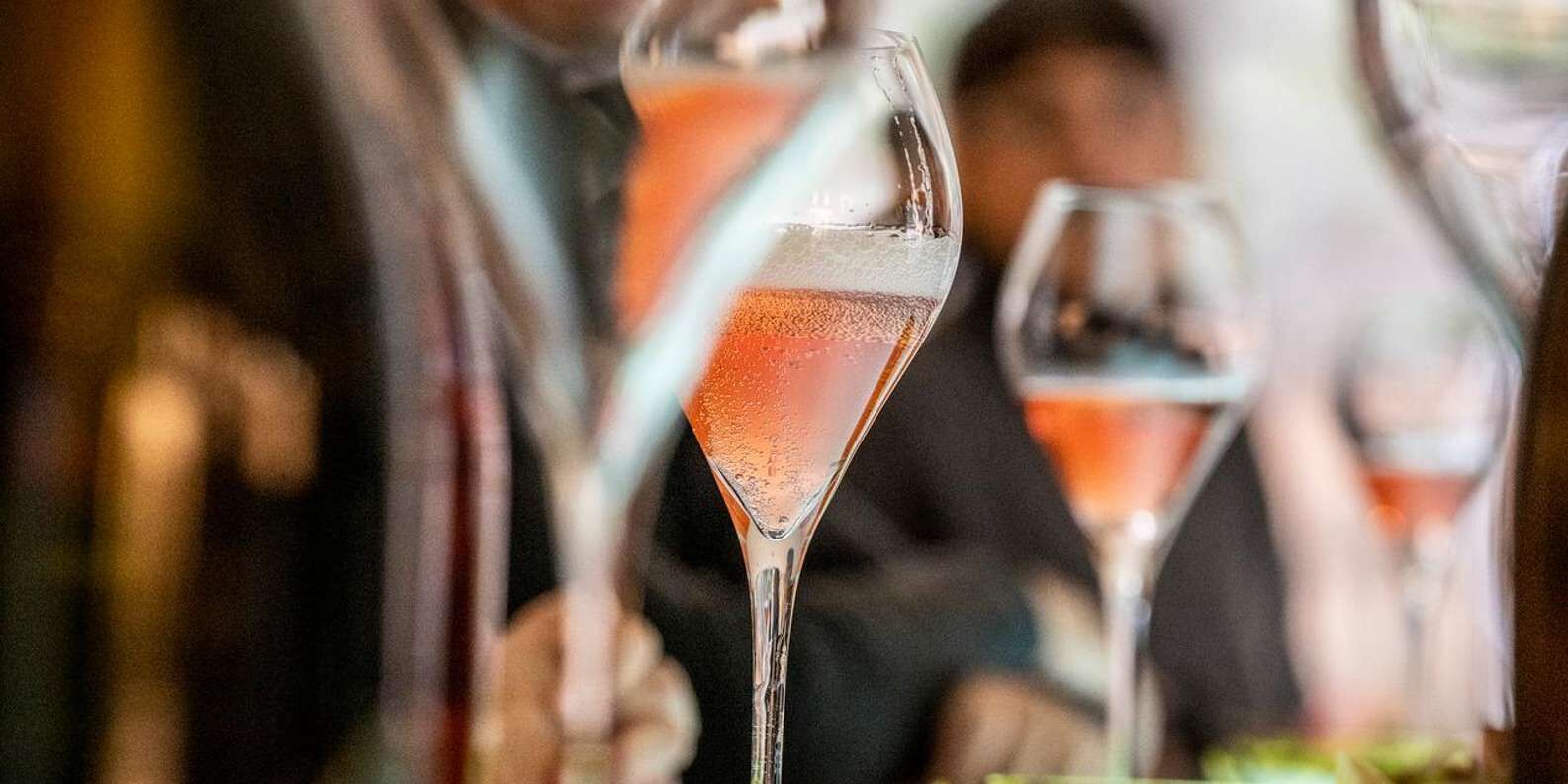 [바르셀로나] Celler Kripta 와이너리 가이드 투어 + 스파클링 와인 3종 시음
