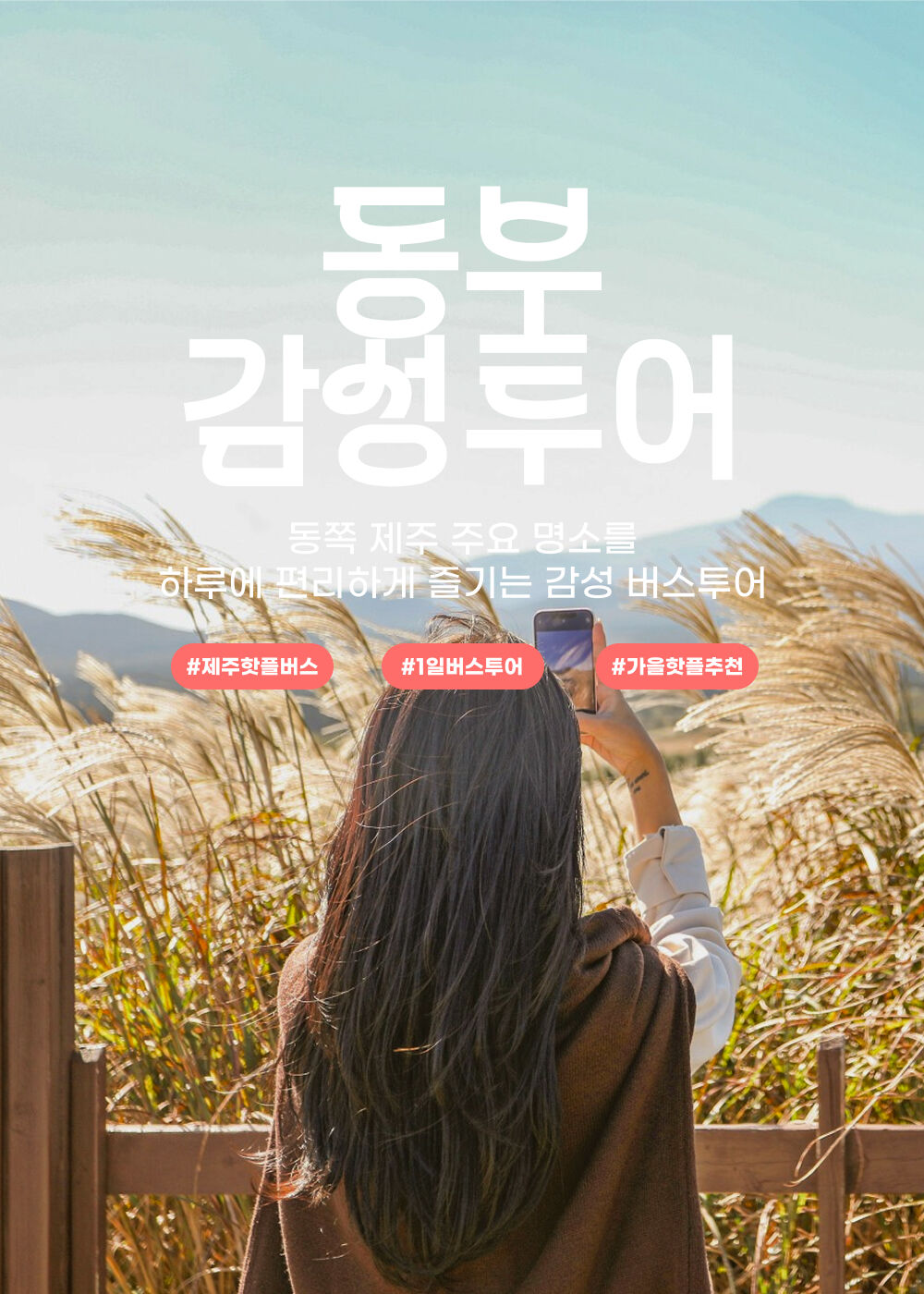 ★가을맞이 특가★ 제주 동부 1일 감성 버스투어 상세 이미지 1
