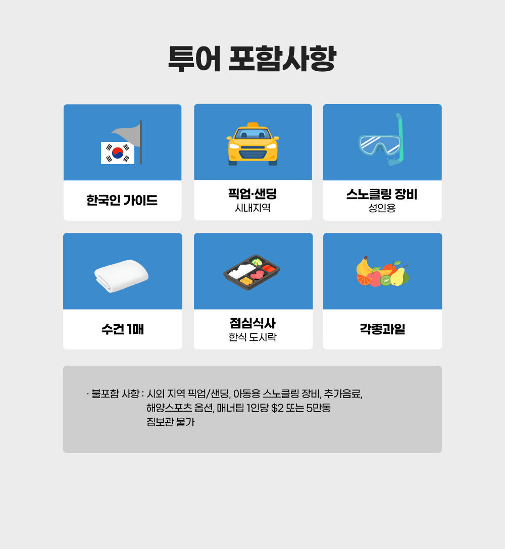 [즉시확정] 나트랑 다이빙 마린 스노클링 호핑투어 (한국인가이드, 펀다이빙, 스쿠버다이빙) 상세 이미지 4