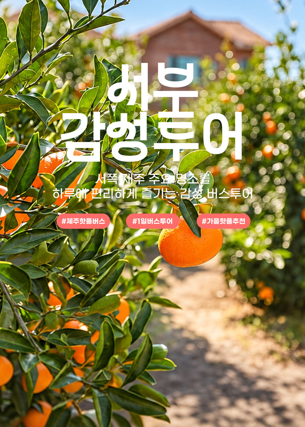 ★가을맞이 특가★ 제주 서부 1일 감성 버스투어 상세 이미지 1