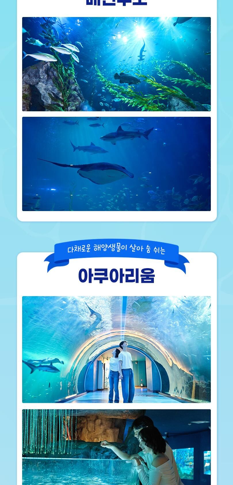투어·티켓 상품 상세 이미지 12