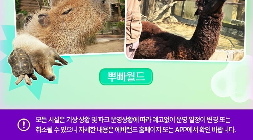 [용인] 에버랜드 종일이용권 (26/11/1~26/11/30) 상세 이미지 14