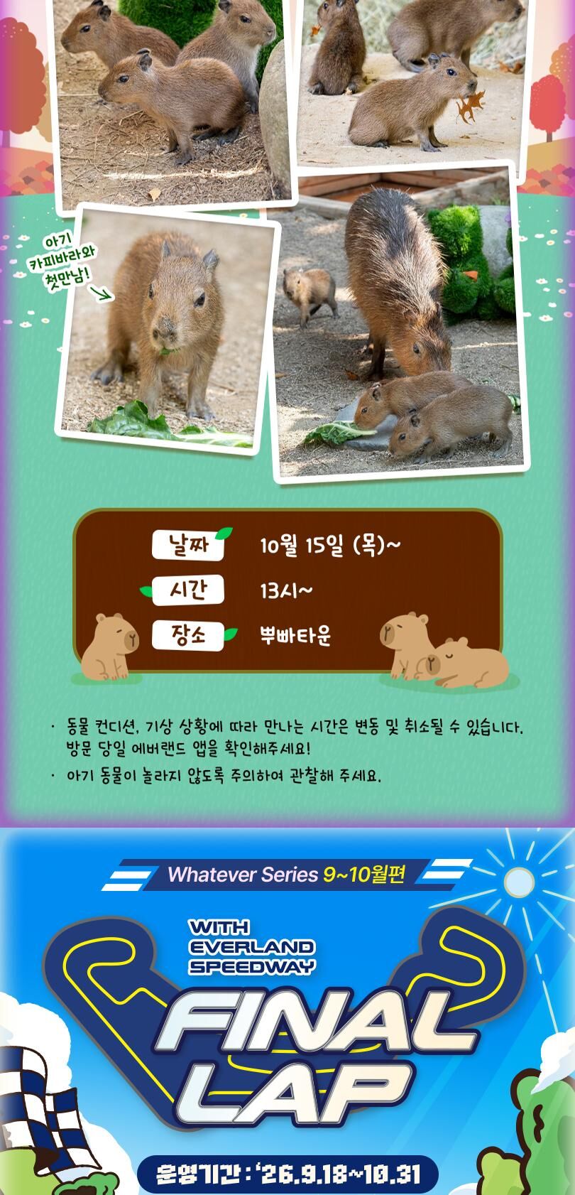 [용인] 에버랜드 종일이용권 (방문날짜지정) (26/11/1~11/30) 상세 이미지 6