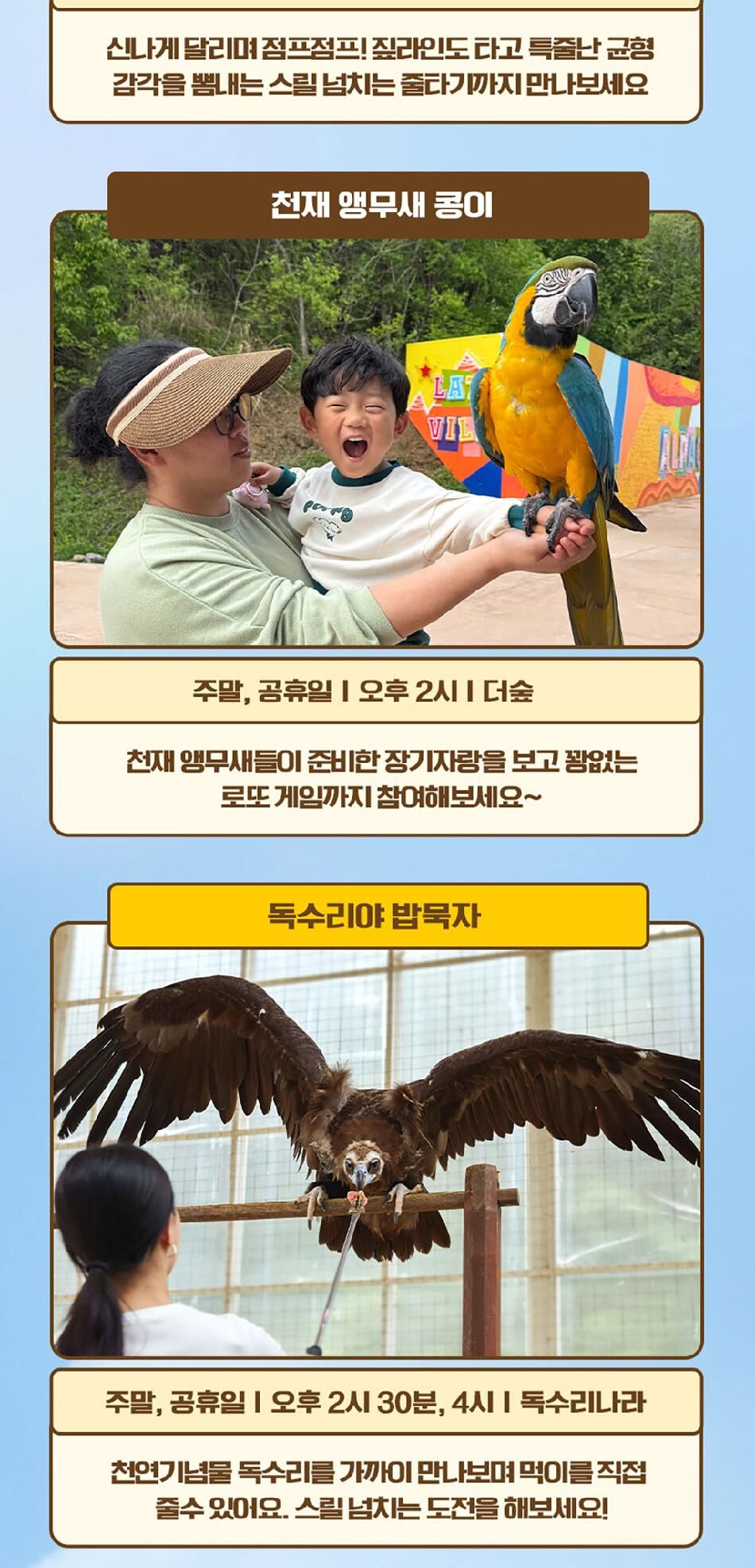 [강원] 레고랜드X알파카월드 PKG  상세 이미지 20