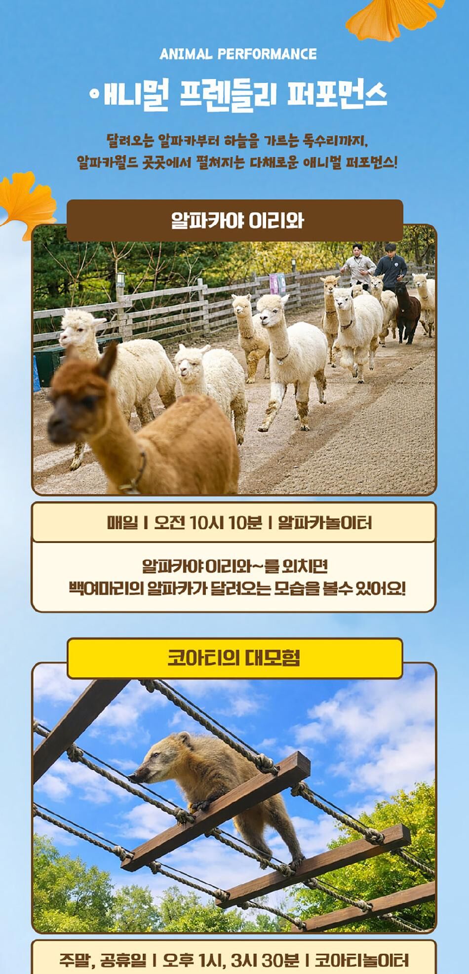 [강원] 레고랜드X알파카월드 PKG  상세 이미지 19