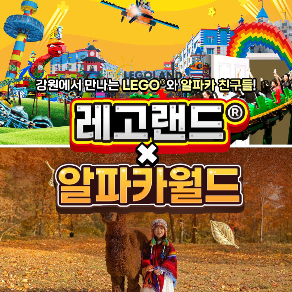 [강원] 레고랜드X알파카월드 PKG