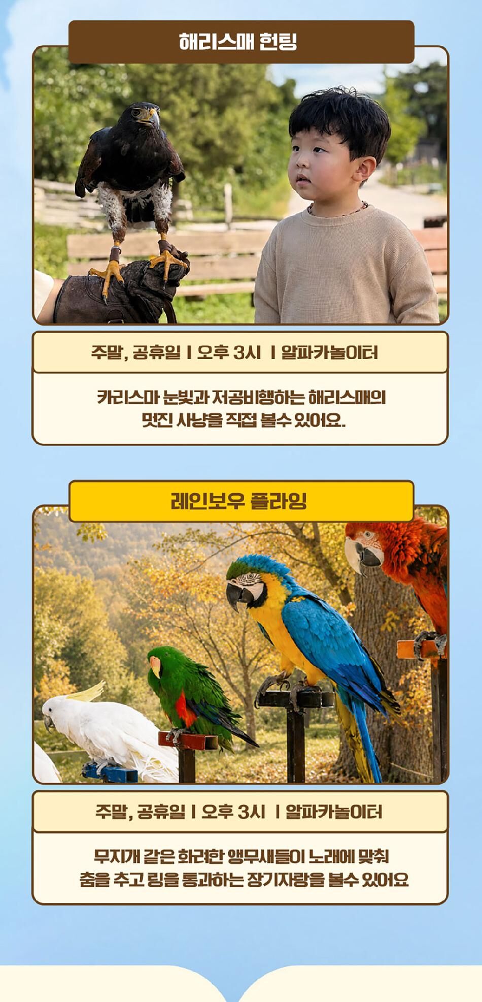 [강원] 레고랜드X알파카월드 PKG  상세 이미지 21