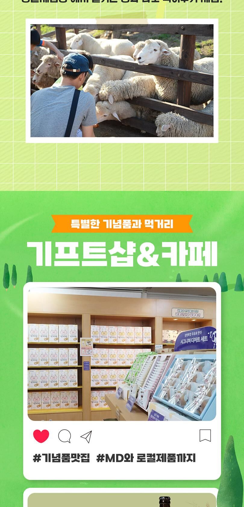 [강원/평창] 대관령 삼양 라운드힐 입장권 상세 이미지 9