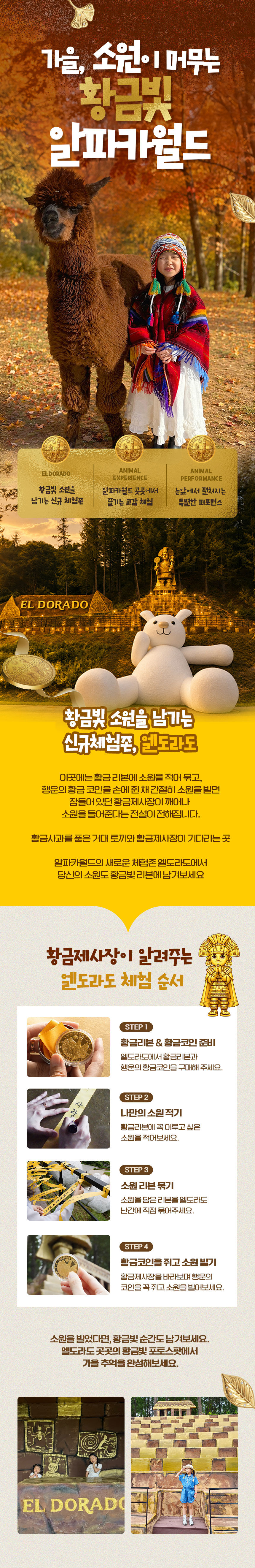 [강원] 레고랜드X알파카월드 PKG 상세 이미지 7