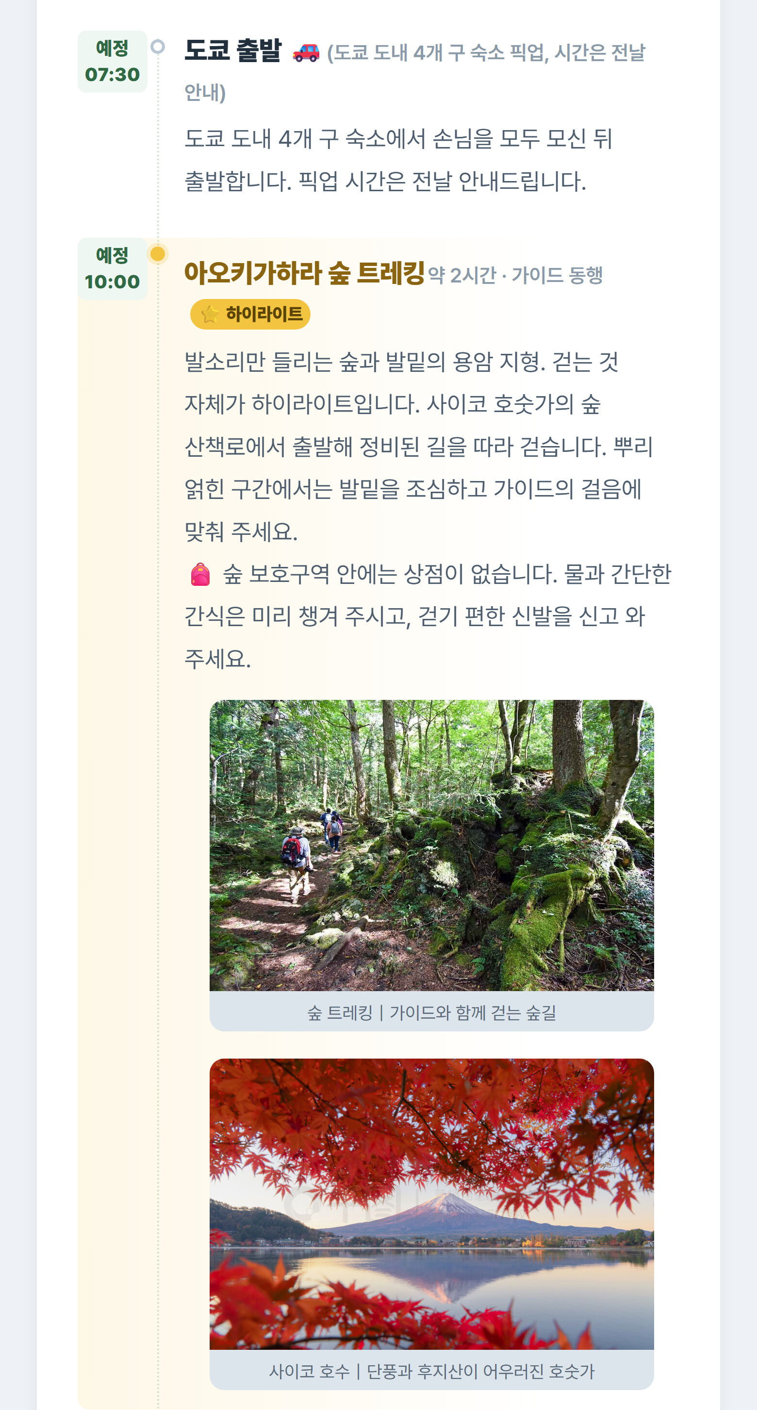 [글로벌9인/한국어기사/호텔픽업]  후지산 1일 투어 아라쿠라야마센겐공원 야마나카코 상세 이미지 4