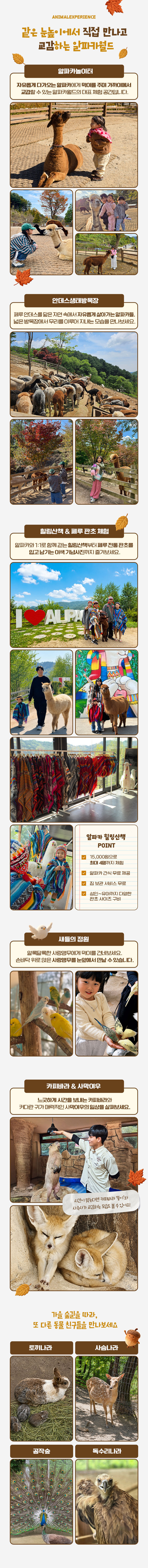 [강원] 레고랜드X알파카월드 PKG 상세 이미지 8