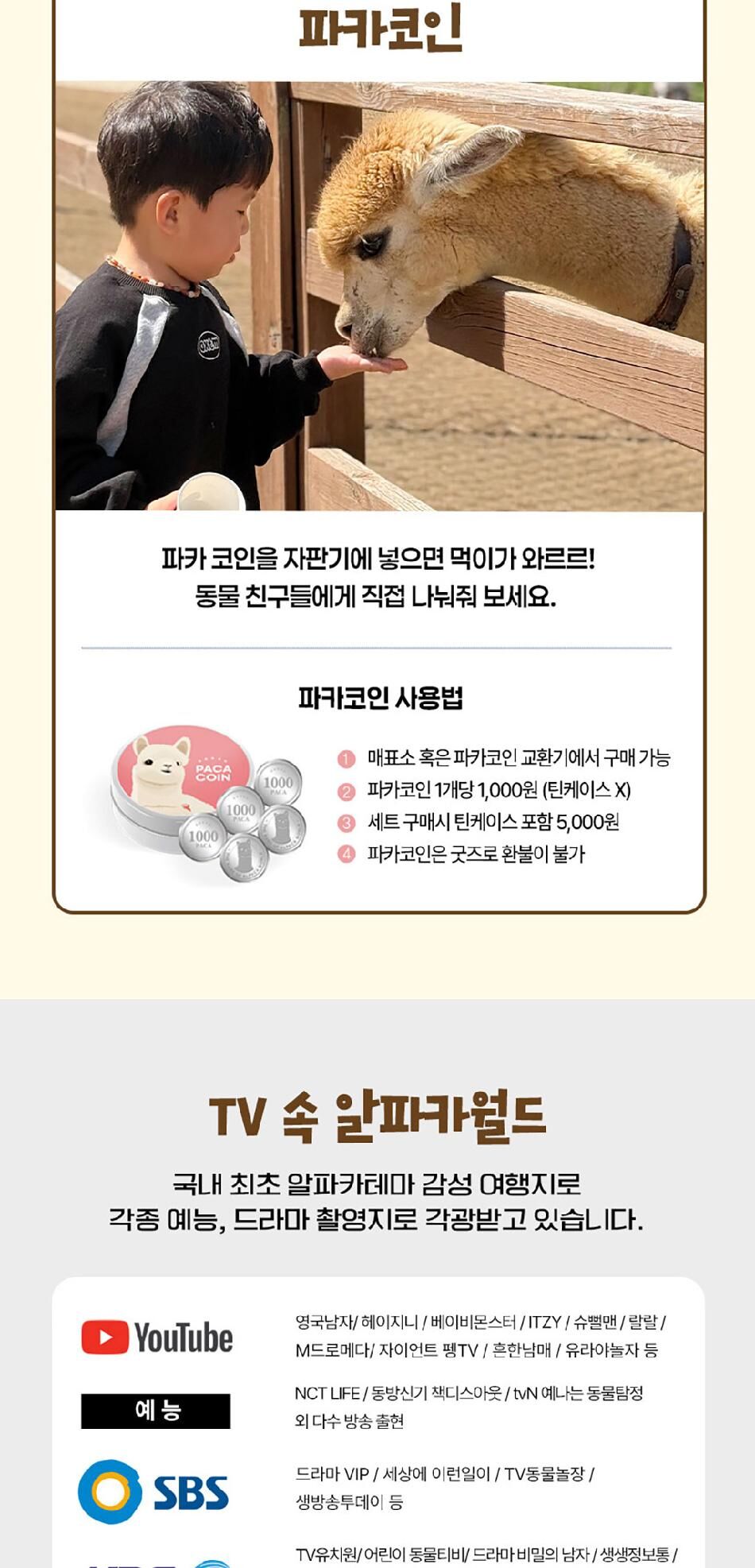 [강원] 레고랜드X알파카월드 PKG  상세 이미지 24