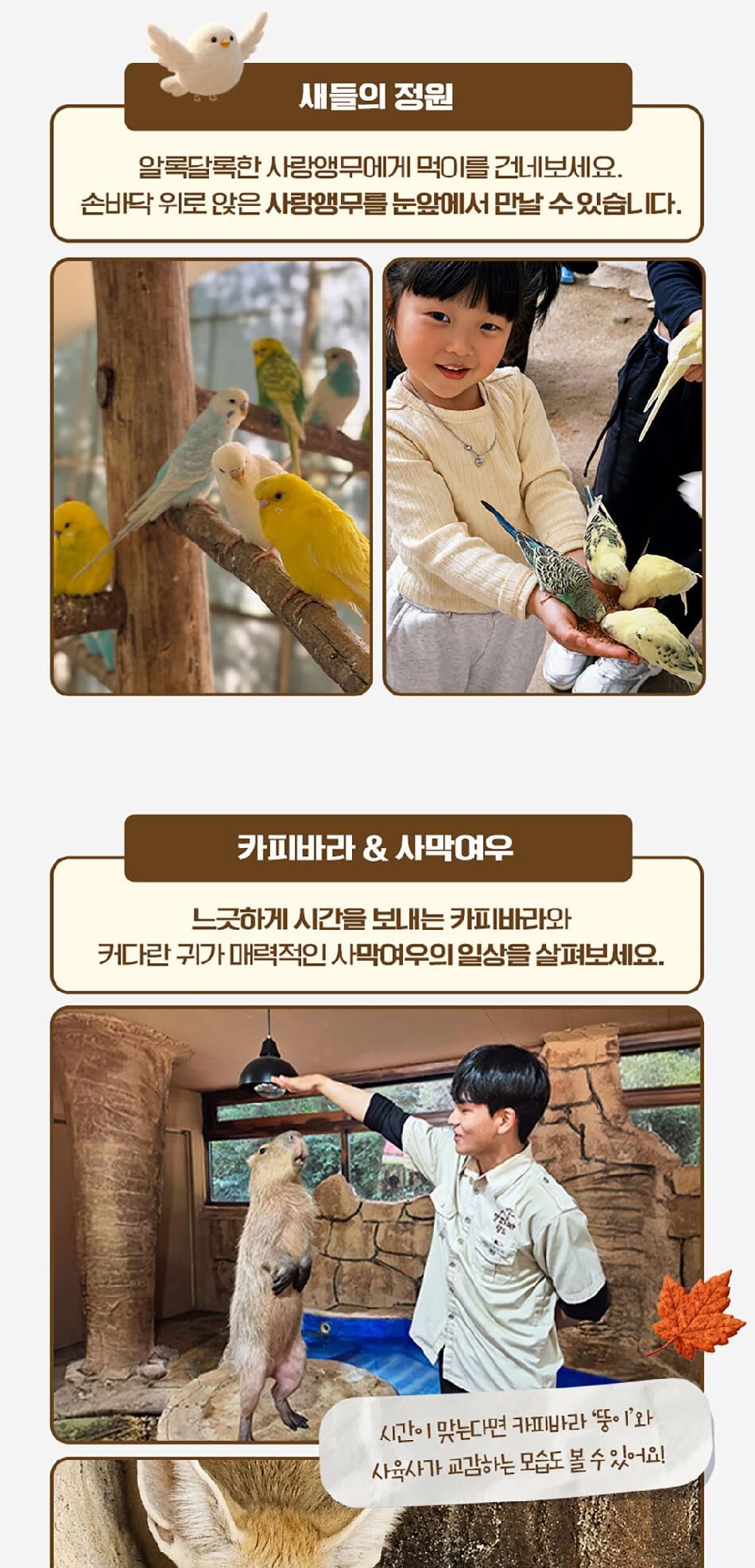 [강원] 레고랜드X알파카월드 PKG  상세 이미지 16
