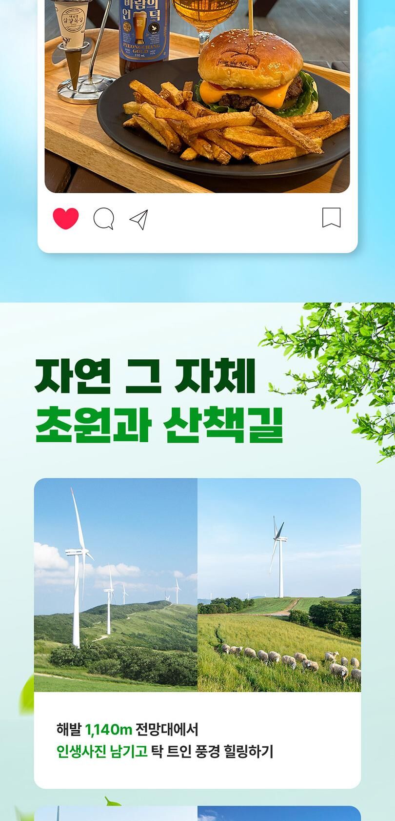 [강원/평창] 대관령 삼양 라운드힐 입장권 상세 이미지 5