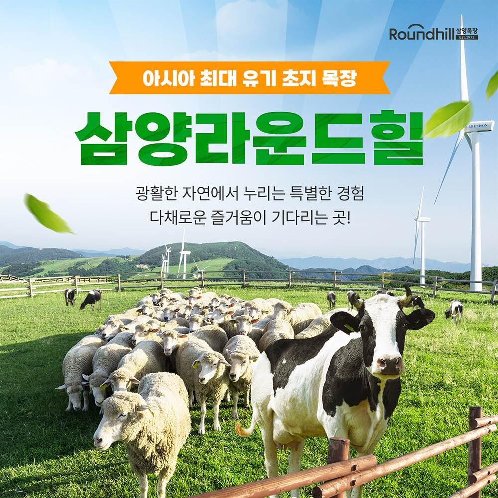 [강원/평창] 대관령 삼양 라운드힐 입장권