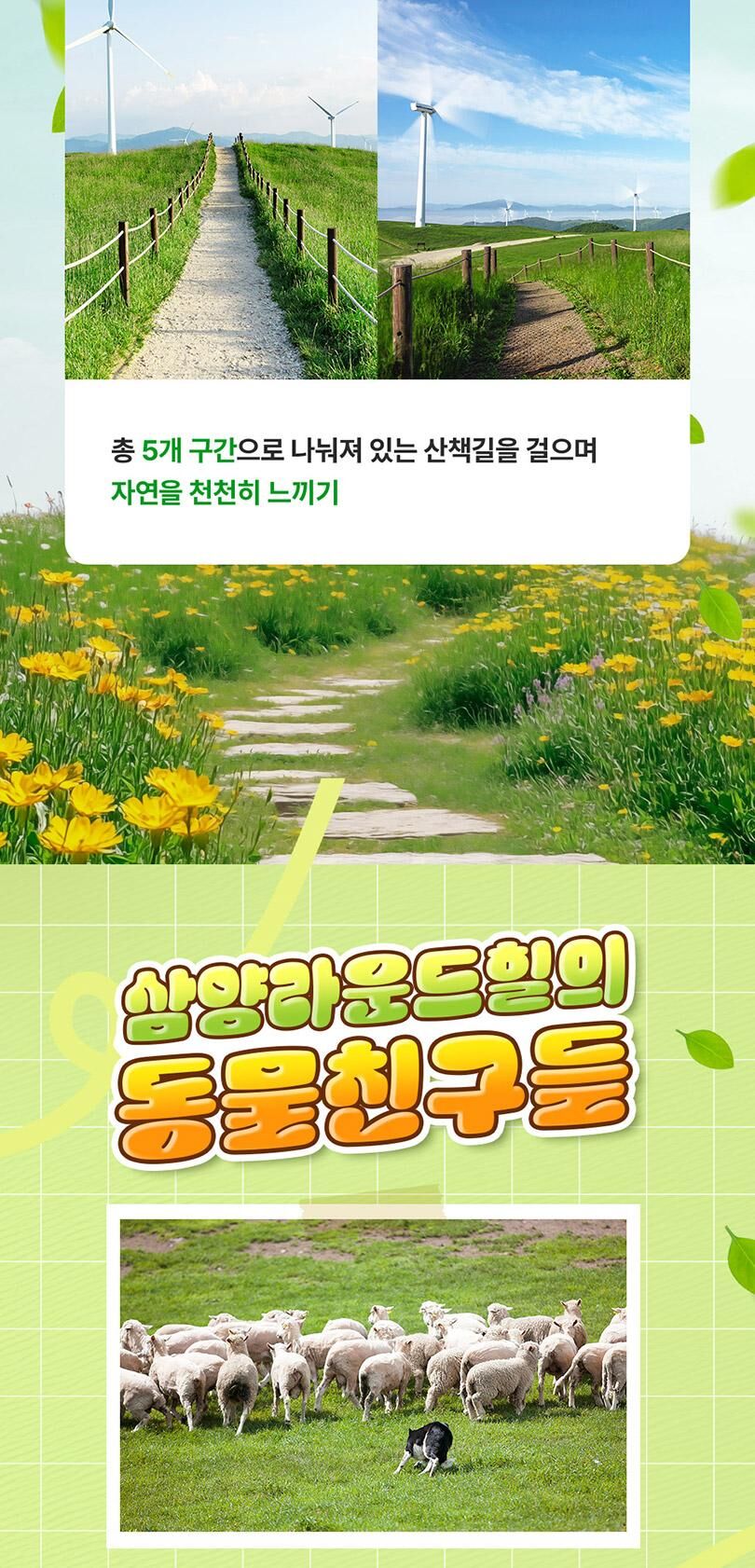 [강원/평창] 대관령 삼양 라운드힐 입장권 상세 이미지 6