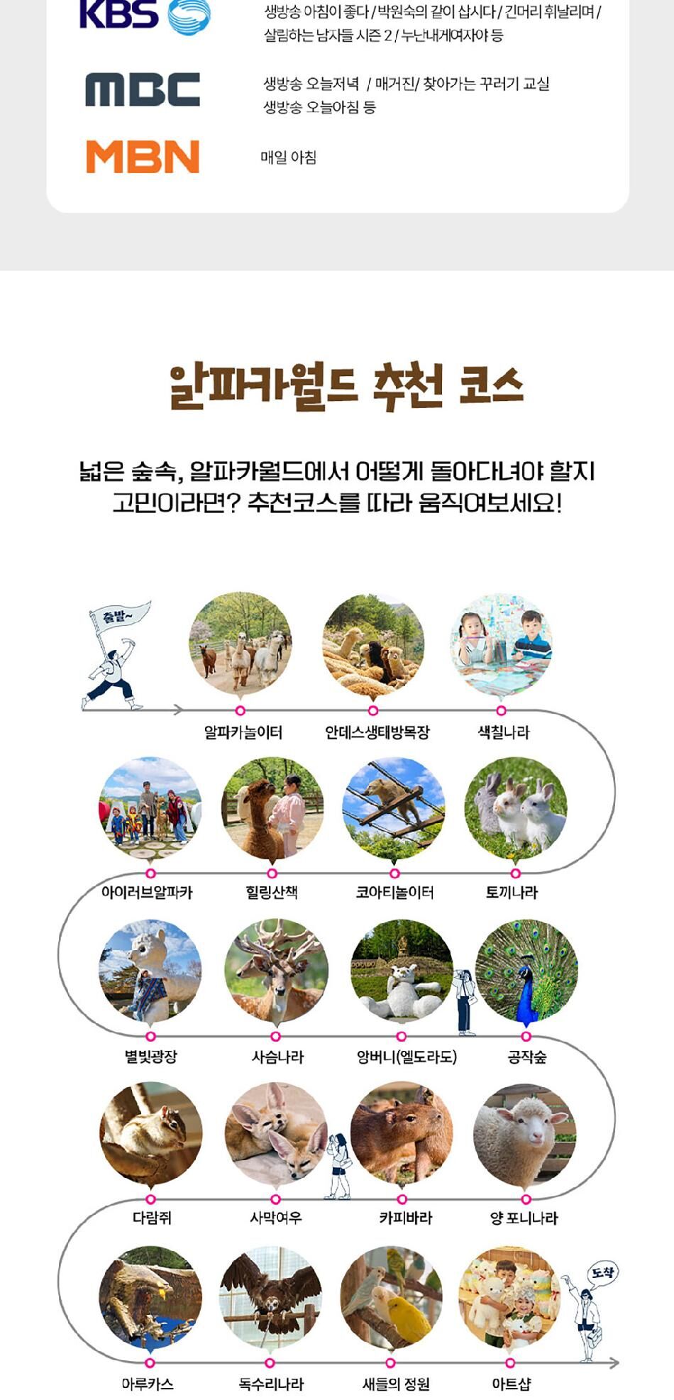 [강원] 레고랜드X알파카월드 PKG  상세 이미지 25