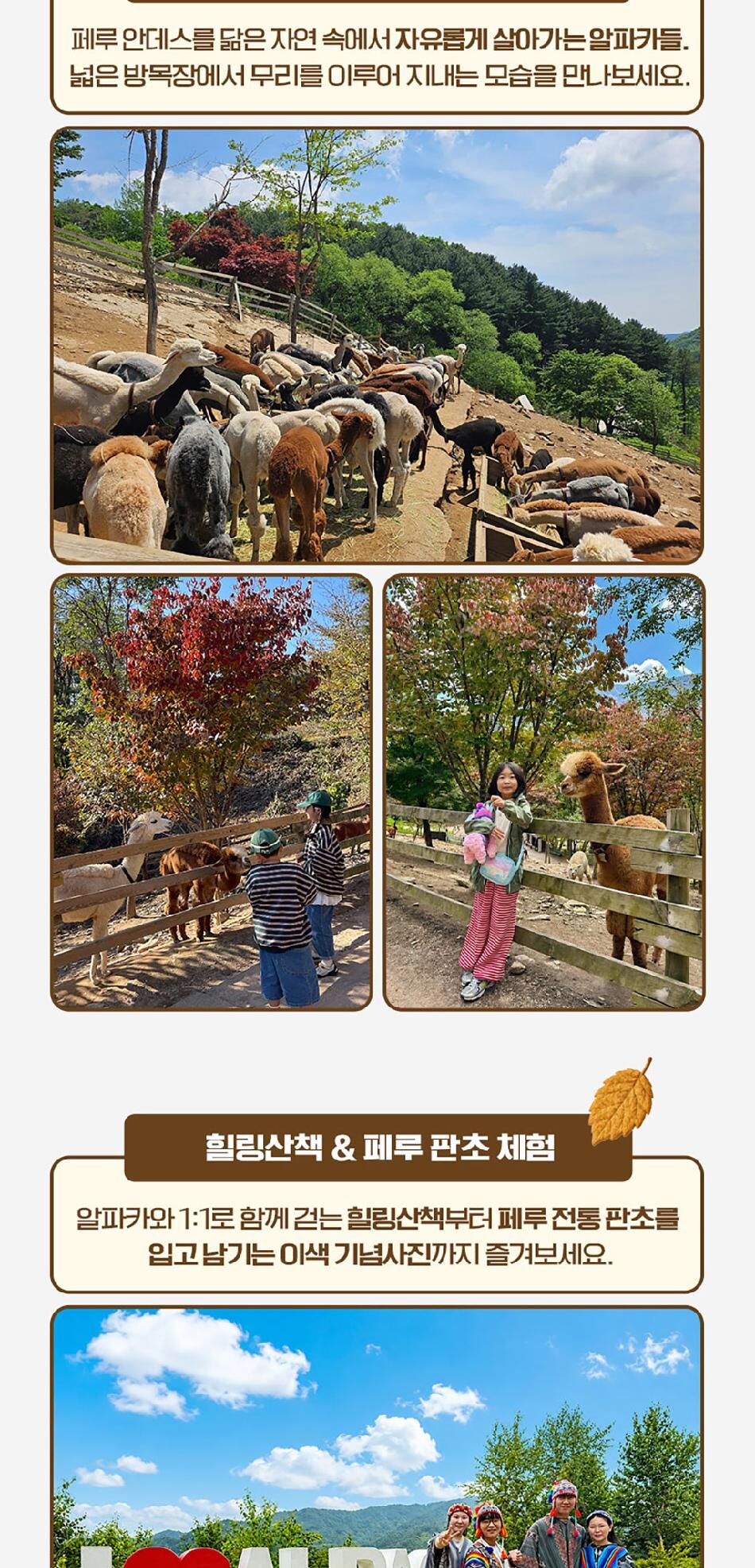 [강원] 레고랜드X알파카월드 PKG  상세 이미지 14