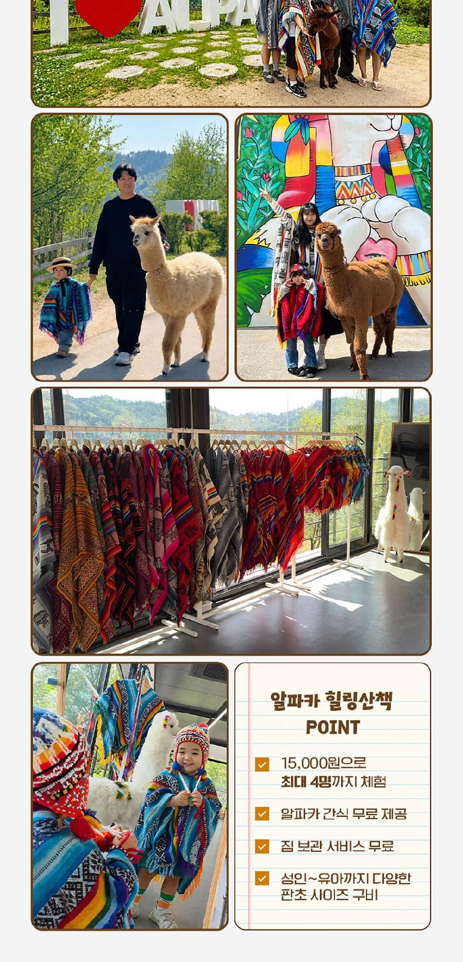 [강원] 레고랜드X알파카월드 PKG  상세 이미지 15
