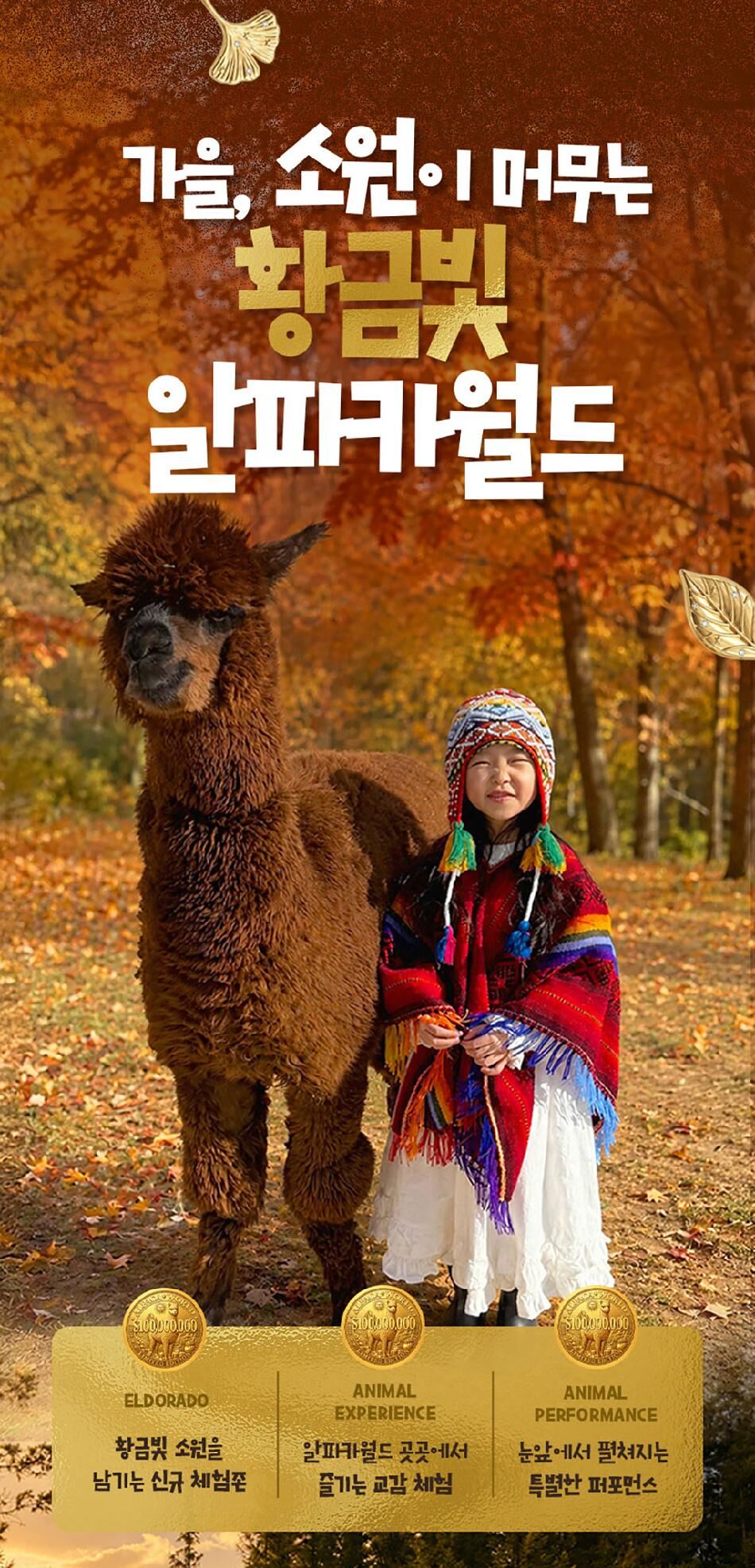 [강원] 레고랜드X알파카월드 PKG  상세 이미지 10