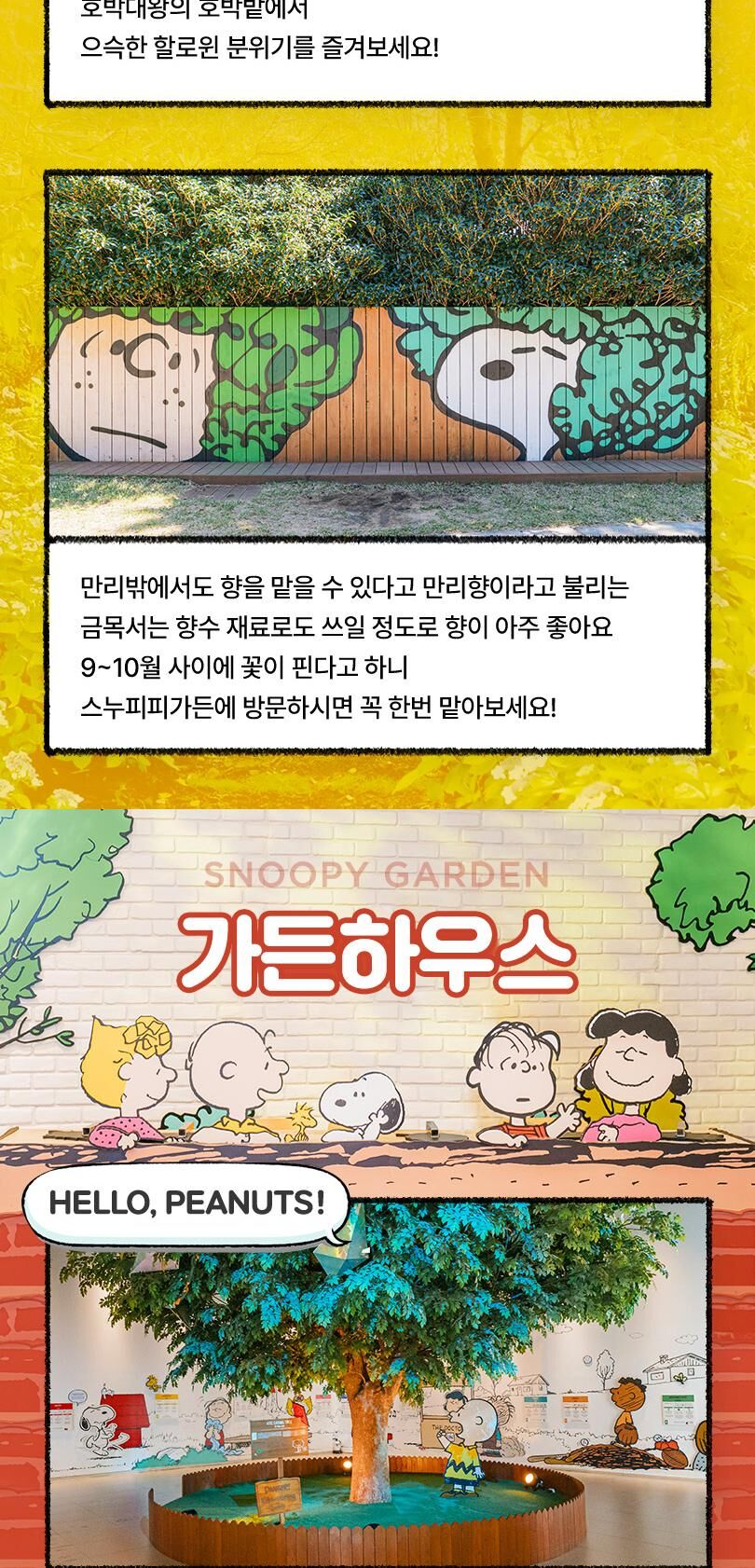 [제주] 스누피가든 입장권 상세 이미지 6