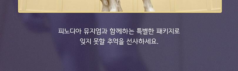 [강원]피노디아 뮤지엄 입장권 ★특가★ 상세 이미지 18