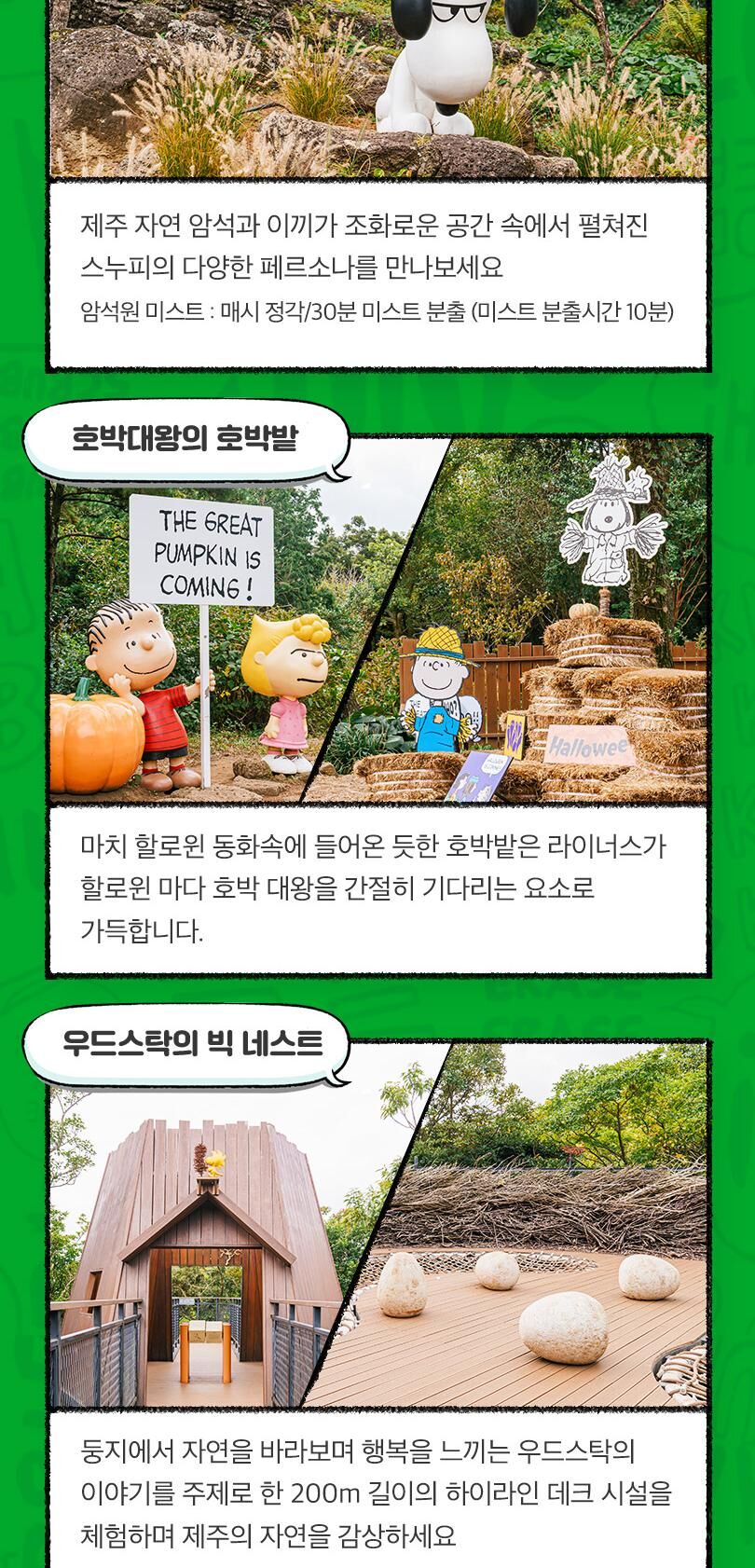 [제주] 스누피가든 입장권 상세 이미지 11