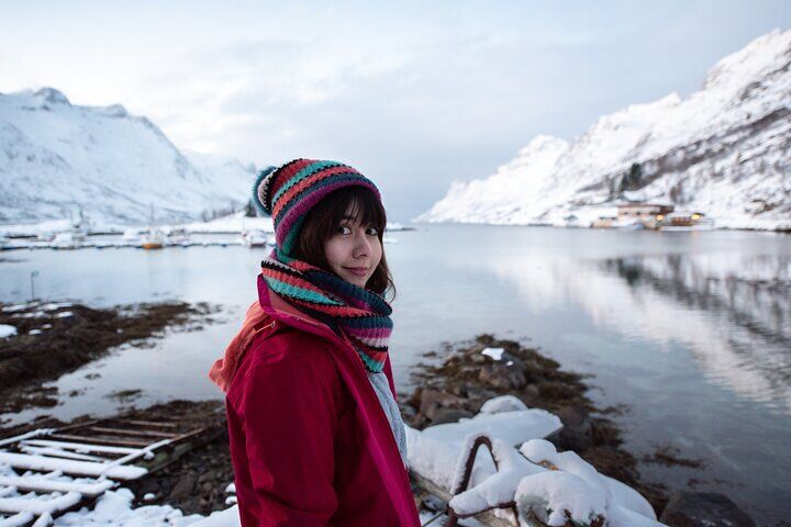 Winter Fjord Road Trip with Wandering Owl - 윈터 피어드 로드 투어 상품 사진